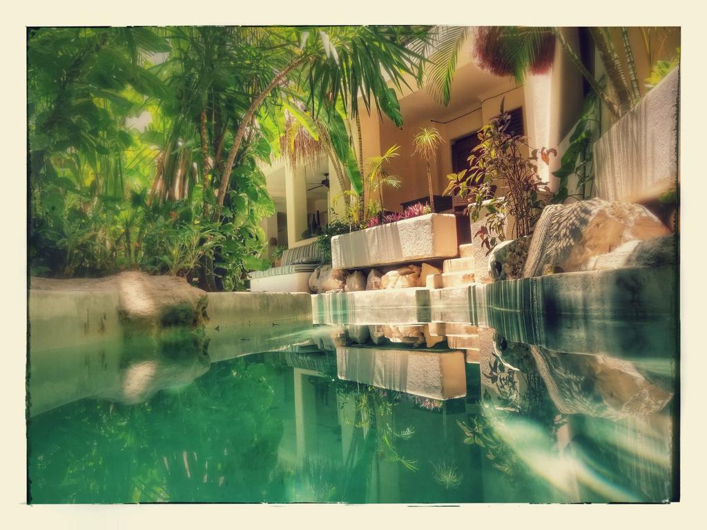 La Tortuga Hotel & Spa - Adults Only Πλάγια Ντελ Κάρμεν Εξωτερικό φωτογραφία