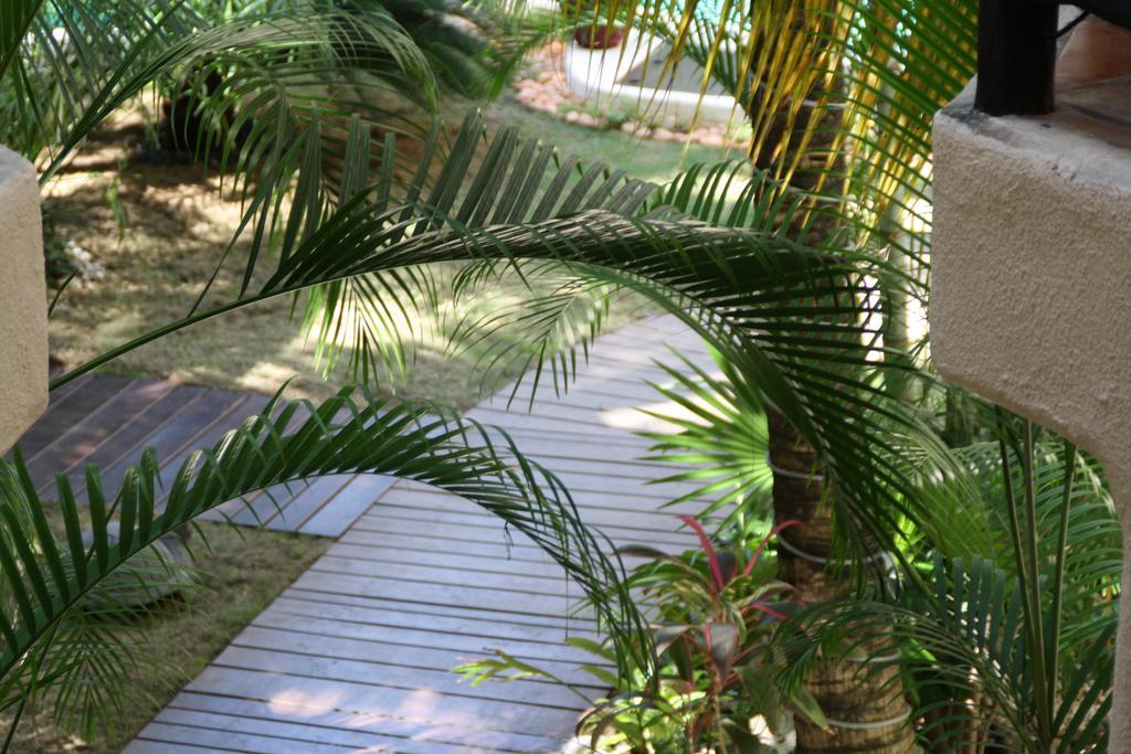 La Tortuga Hotel & Spa - Adults Only Πλάγια Ντελ Κάρμεν Εξωτερικό φωτογραφία