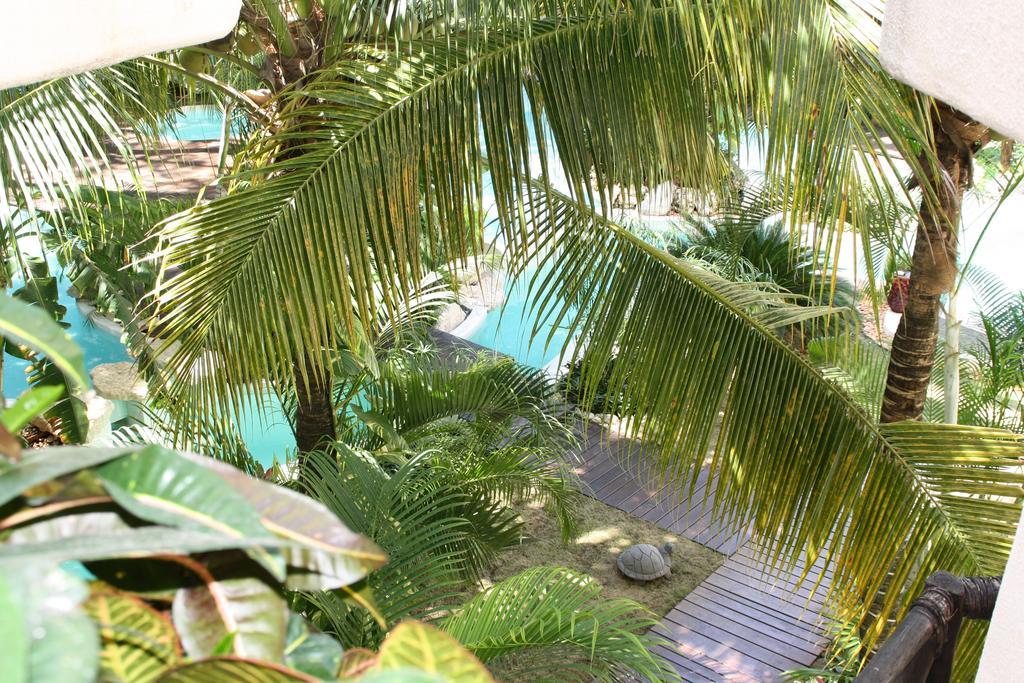 La Tortuga Hotel & Spa - Adults Only Πλάγια Ντελ Κάρμεν Εξωτερικό φωτογραφία