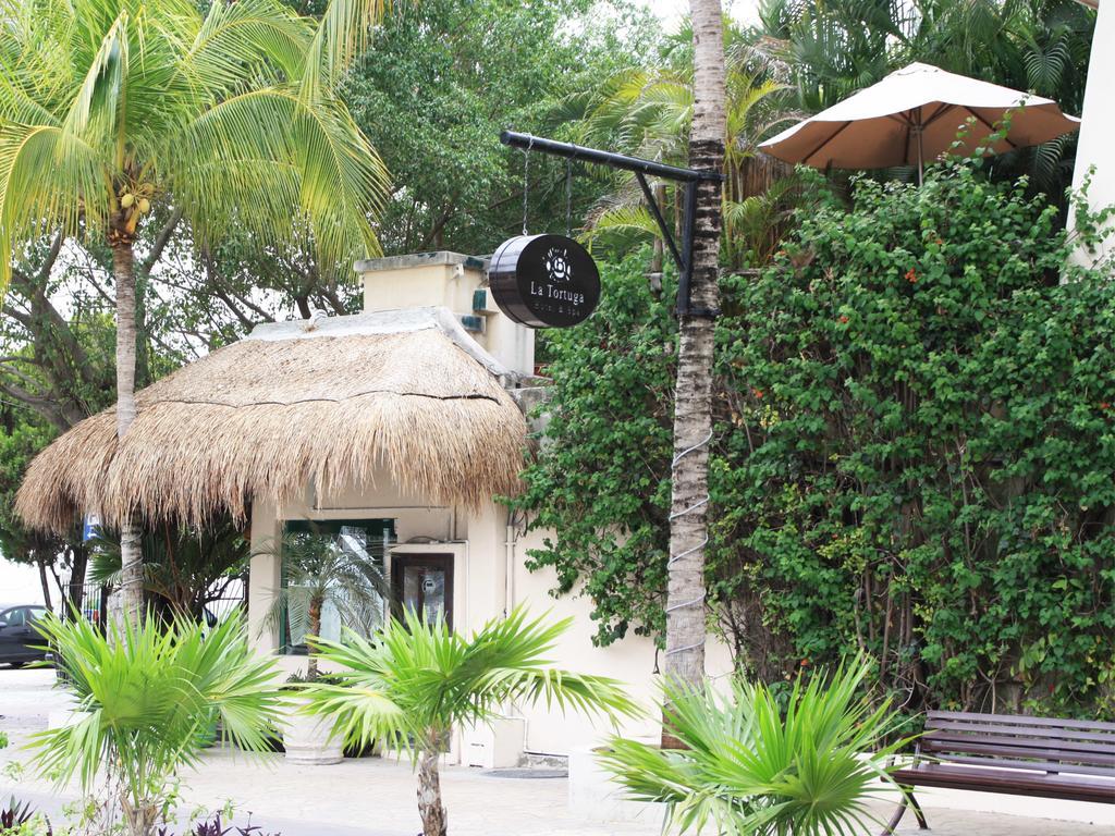 La Tortuga Hotel & Spa - Adults Only Πλάγια Ντελ Κάρμεν Εξωτερικό φωτογραφία