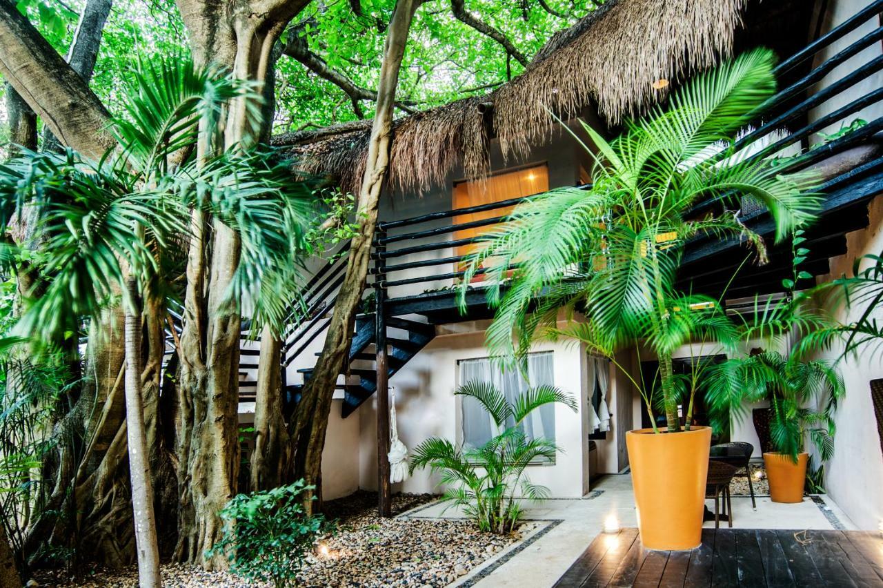 La Tortuga Hotel & Spa - Adults Only Πλάγια Ντελ Κάρμεν Εξωτερικό φωτογραφία